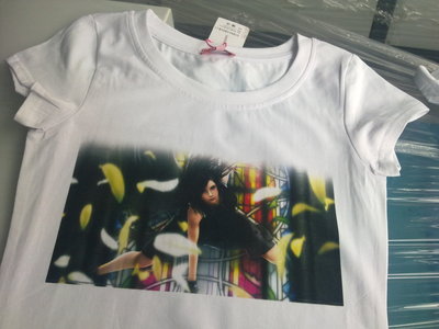 【北京供應(yīng)諾彩深色高檔服裝數(shù)碼直噴打印機(jī)】?jī)r(jià)格,廠家,圖片,數(shù)碼印刷機(jī)/萬(wàn)能打印機(jī),廣州諾彩數(shù)碼產(chǎn)品-